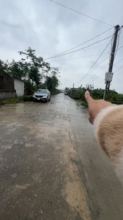 Đất nền khu phố 3, phường Tân Thành 210m² giá 1 tỷ - Cơ hội đầu tư hấp dẫn!