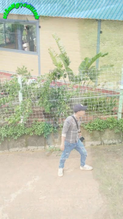 Biệt thự Farm Bảo Thuận Di Linh 1000m² giá 1.85 tỷ - Không gian nghỉ dưỡng lý tưởng!