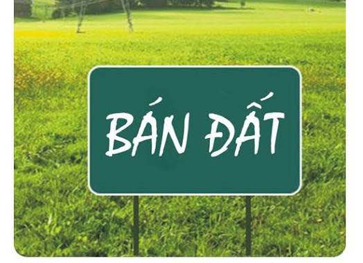 Đất thổ cư Ninh Mỹ 132m² giá chỉ 7 tỷ - Chính chủ bán gấp!