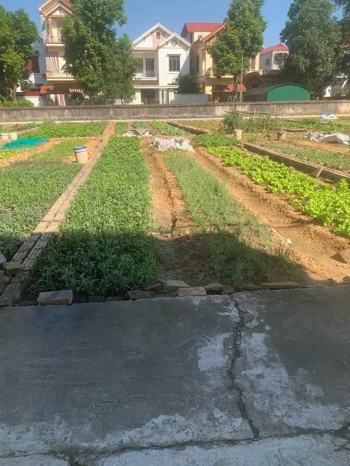 Đất Ninh Xá 60m² giá thỏa thuận - Chính chủ bán ngay!