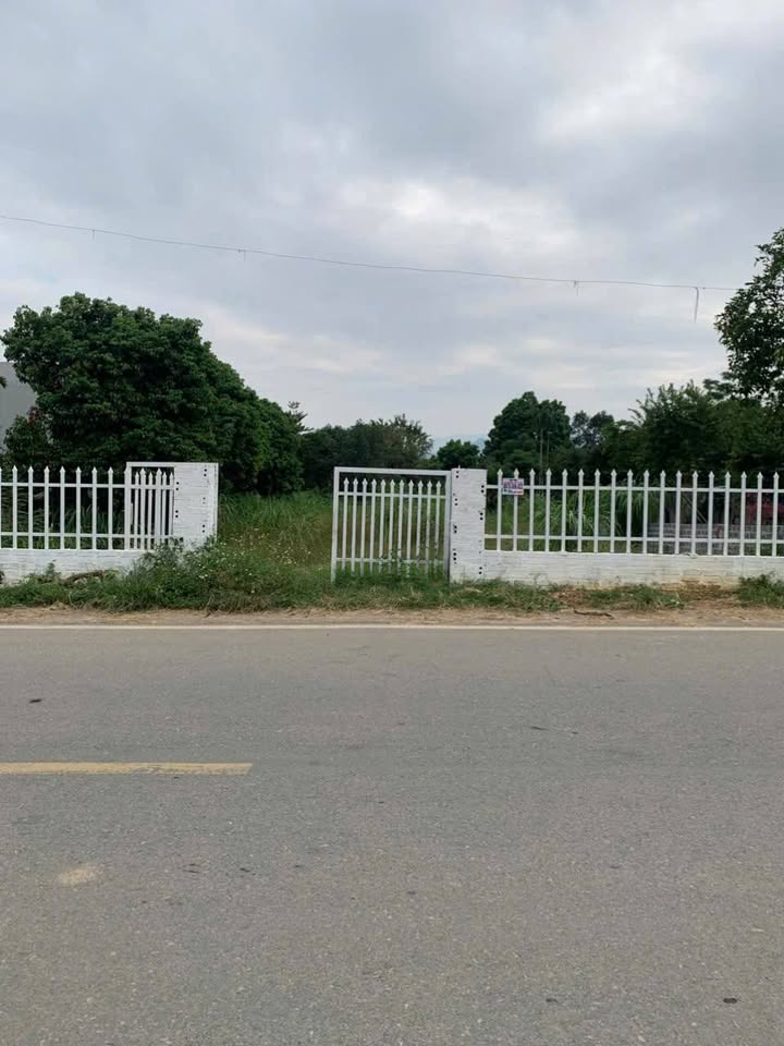 Đất nền Vân Hòa, Ba Vì 1084m² giá 12 tỷ - Kinh doanh tốt, pháp lý rõ ràng!