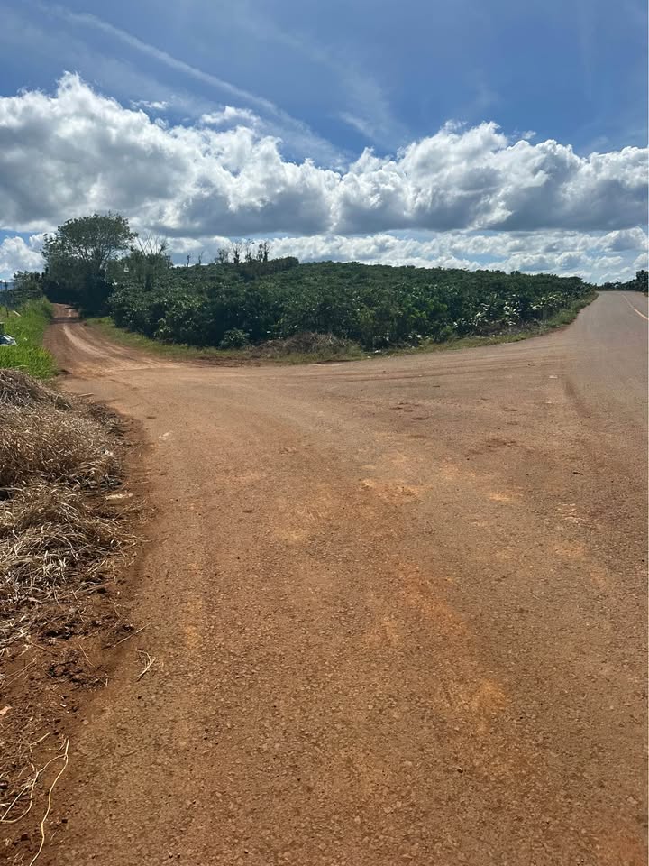 Đất thổ cư Thị Trấn Di Linh 900m² giá 1 tỷ - Đầu tư sinh lời ngay!