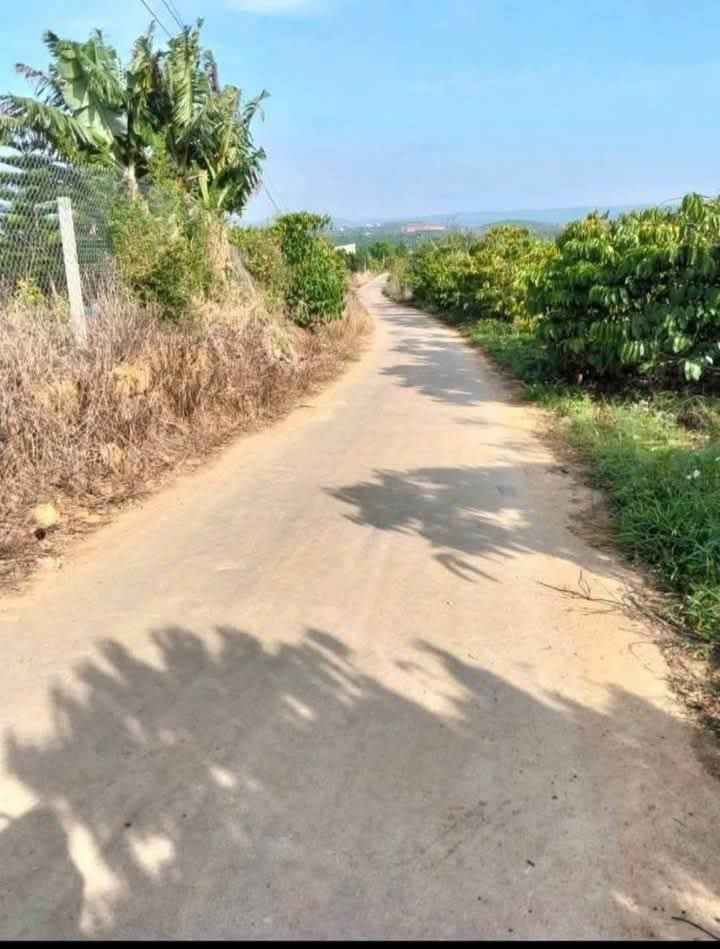 Đất Bảo Lộc 925m² giá 1.5 tỷ - Đầu tư sinh lời ngay lập tức!