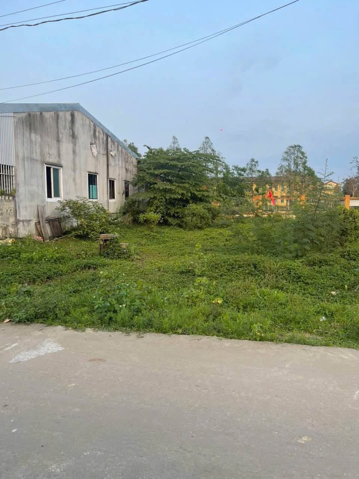 Đất nền Thủy Phù 90m² giá chỉ 370 triệu - Cơ hội đầu tư tuyệt vời!