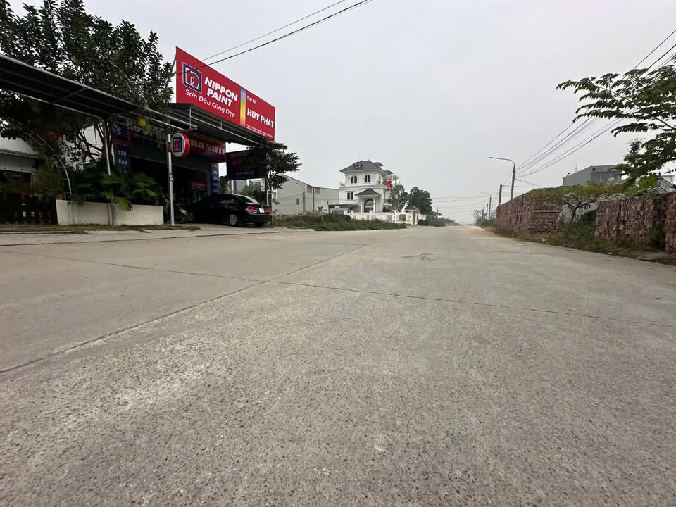 Đất đấu giá tại Hội Thịnh, Tam Dương - 100m², đầu tư sinh lời cao!