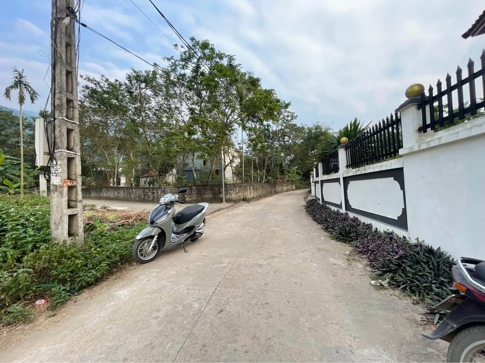 Đất nền tại xã Đại Đình, huyện Thanh Sơn, 100m² giá 500 triệu - Sổ đỏ chính chủ!