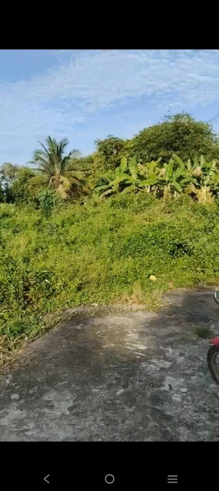 Đất nền Tài Văn Trần Đề 420m² giá 430 triệu - Đường ôtô vào tận nơi!