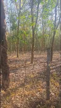 Đất nền Lộc An, Lộc Ninh, Bình Phước 38.000m² giá 7.6 tỷ - Đầu tư sinh lời ngay!