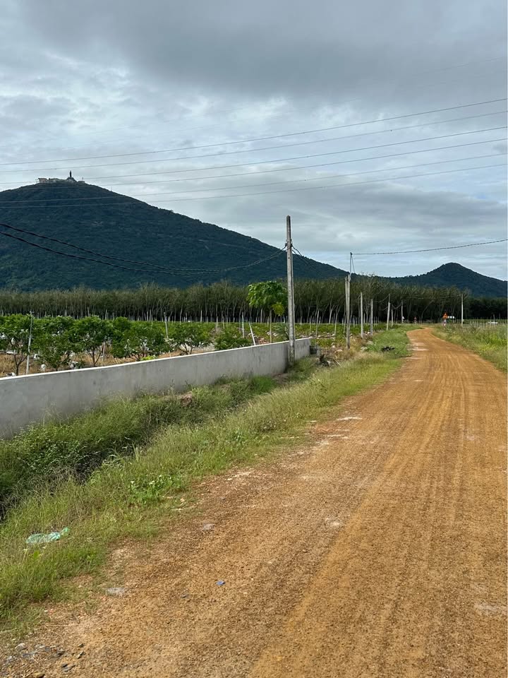 Đất nền Suối Đá Dương Minh Châu 30000m² giá 1.89 tỷ - Cơ hội đầu tư sinh lời!