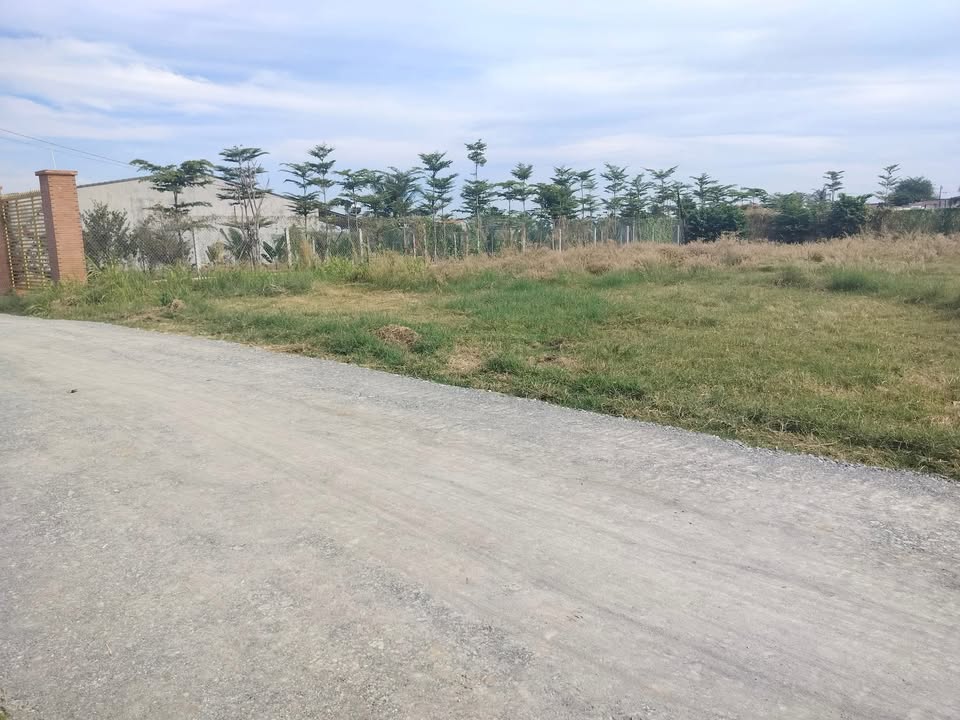 Đất thổ cư 200m² đường nhựa Phường Bình Minh - Giá chỉ 400 triệu