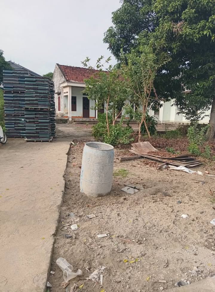 Lô đất đẹp khu 5 Thanh Đình, Việt Trì 289m² giá 2.1 tỷ - Đầu tư sinh lời ngay!