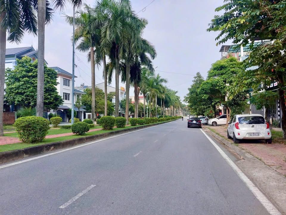 Đất liền kề Băng 1 Quang Trung 162m² - Kinh doanh đắc địa, giá thương lượng!