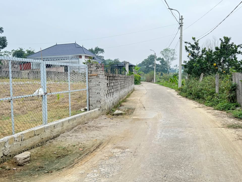 Đất nền Thanh Mỹ Sơn Tây 1200m² giá 2.64 tỷ - Cơ hội đầu tư hấp dẫn!