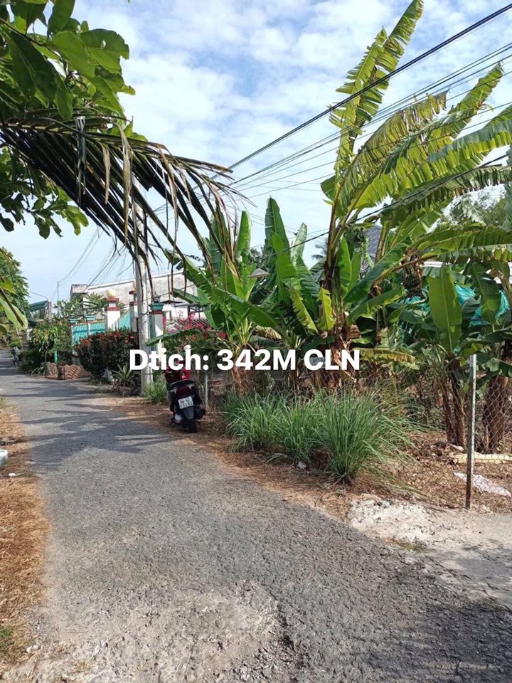 Đất nền Hòa Phú, Long Hồ, 342m² giá 1.05 tỷ - Cơ hội đầu tư hấp dẫn!