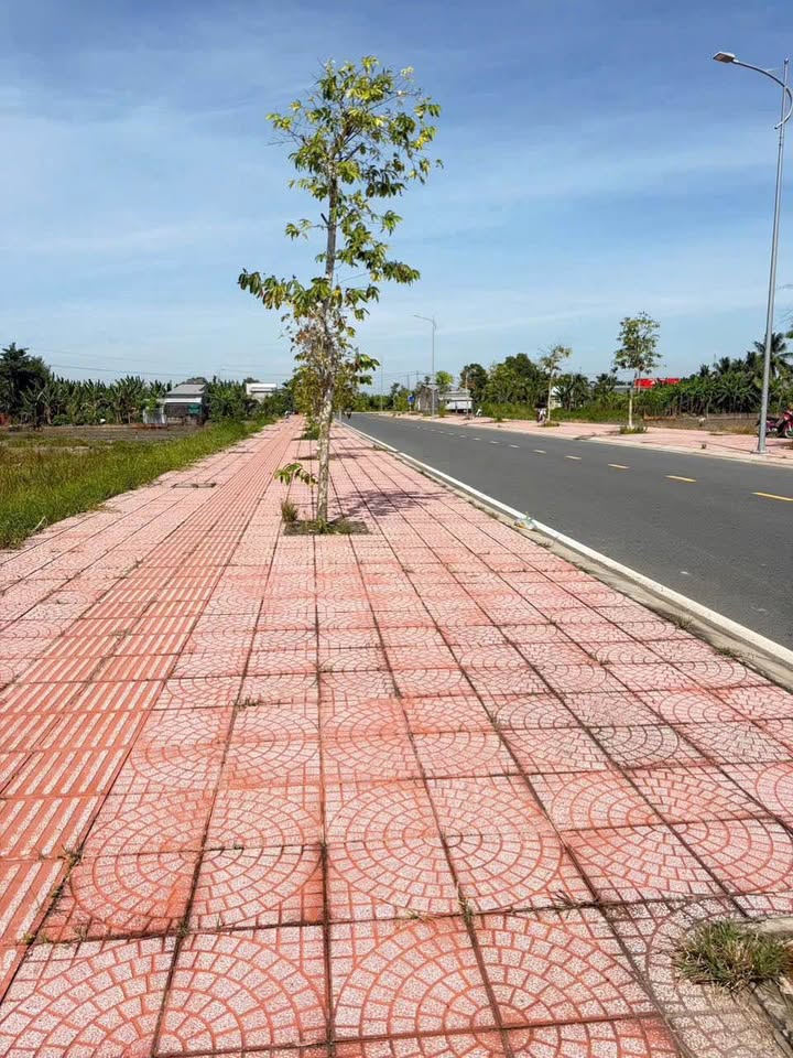 Đất nền đường D1 Long Phước 208m² giá 1.68 tỷ - Chính chủ bán gấp!