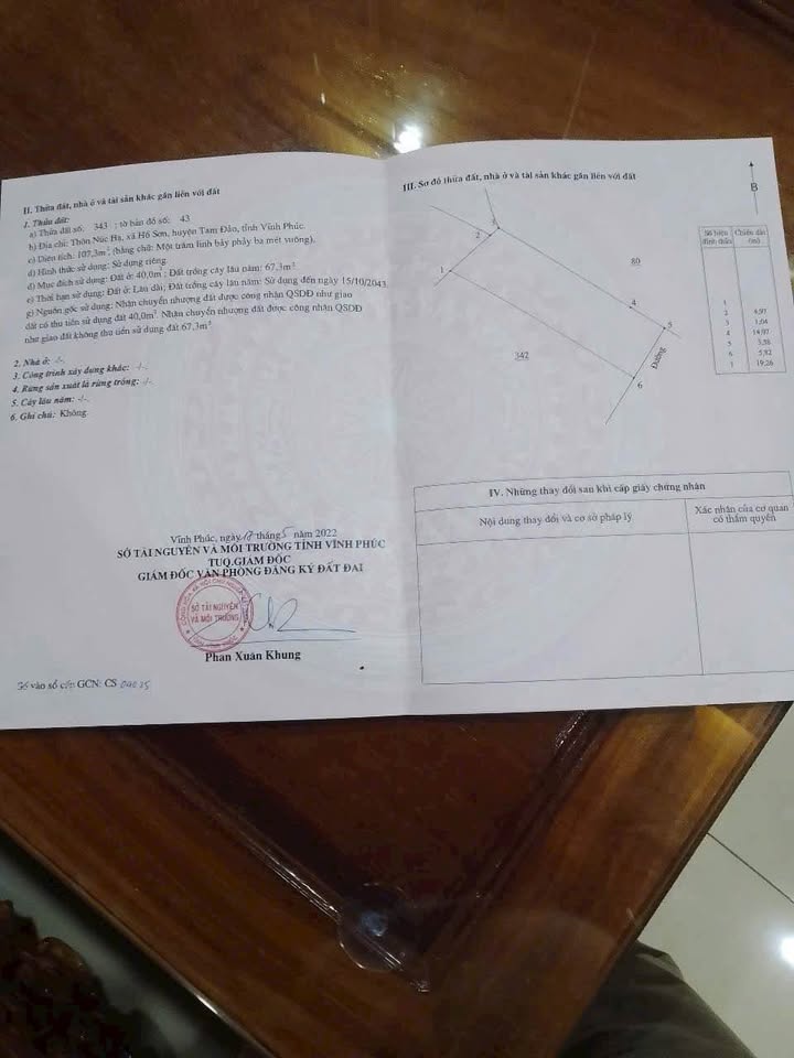 Đất nền Núc Hạ - Hồ Sơn - Tam Đảo 107m² giá 700 triệu - Đầu tư sinh lời hấp dẫn!