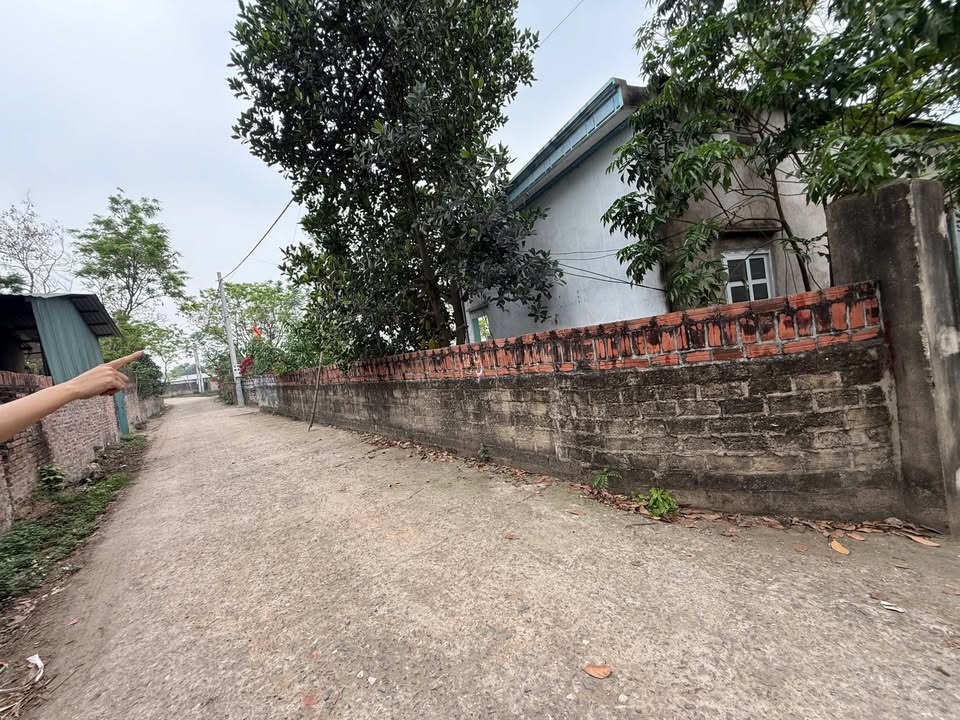 Đất nền Hoàng Hoa, Tam Dương, Vĩnh Phúc 549m² giá 1.1 tỷ - Sổ đỏ chính chủ