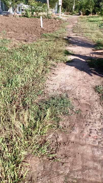 Đất nền Bình Lương, Châu Thành 1080m² chỉ 570 triệu - Tiềm năng sinh lời cao!