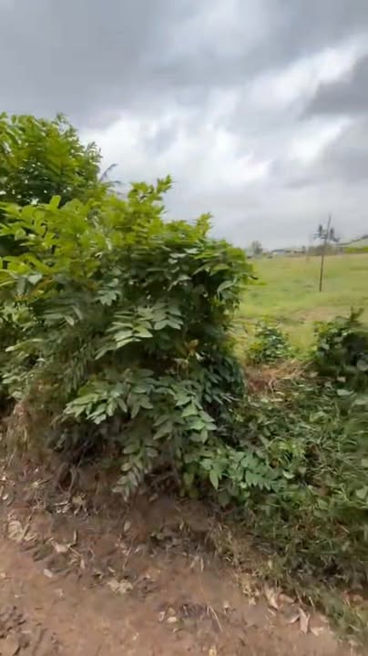 Đất nền ấp Phước Thạnh, xã Phước Vinh, huyện Châu Thành, Tây Ninh - 160m² giá chỉ 130 triệu!