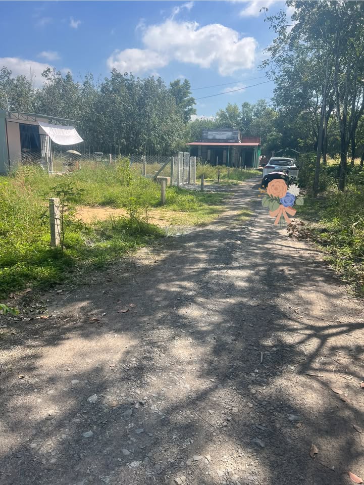 Đất nền Thạnh Đức Gò Dầu 170m² giá 360 triệu - Đầu tư sinh lời ngay!