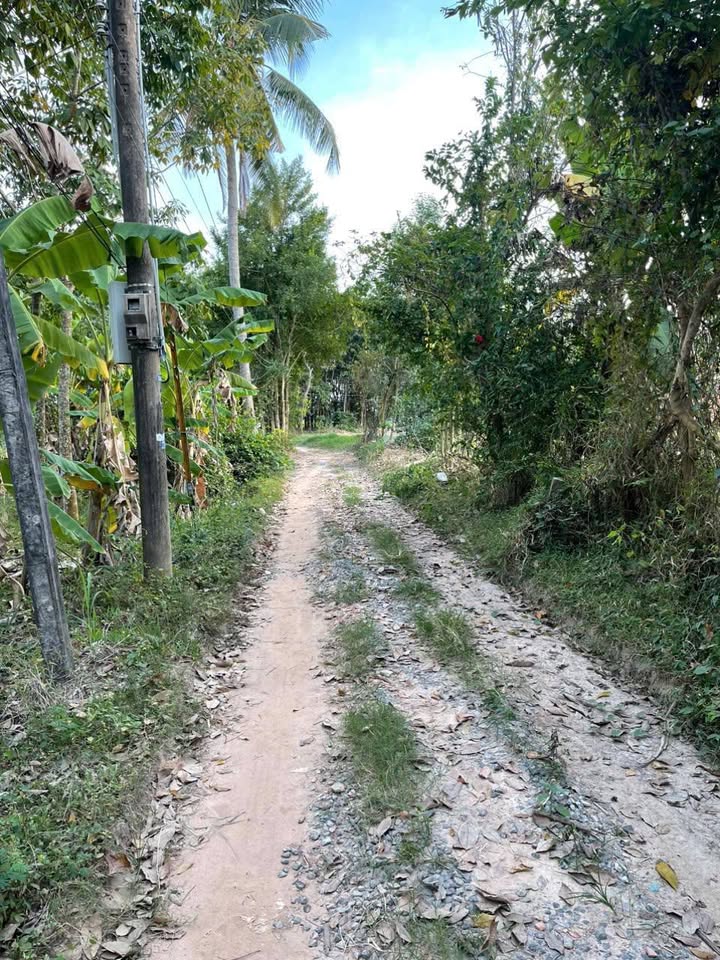 Đất nền Phước Vinh - Châu Thành 160m² chỉ 130 triệu - Cơ hội đầu tư hấp dẫn!