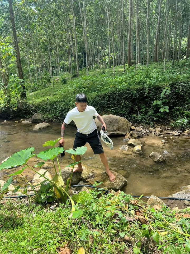 Đất nghỉ dưỡng Nghĩa Đàn, Nghệ An 1.000m² giá chỉ 999 triệu - Suối chảy quanh đất