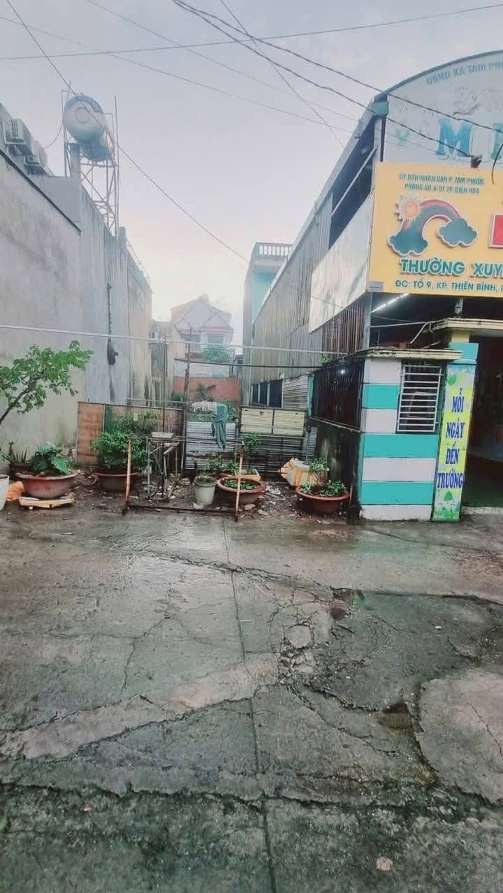 Lô đất 125m² chợ đêm Thiên Bình, Tam Phước chỉ 1.29 tỷ - Đầu tư sinh lời ngay!