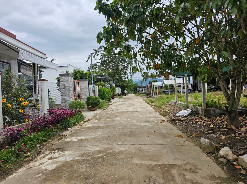 Nhà vườn Diên Đồng 1285m² giá 3.855 tỷ - Không gian sống lý tưởng!