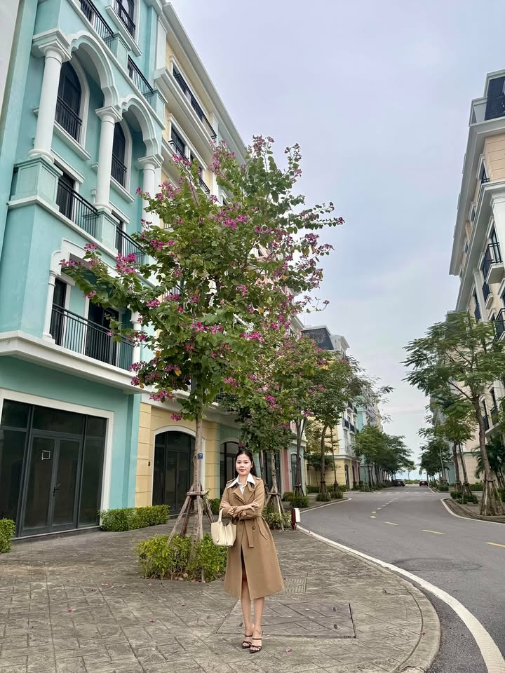 Shophouse Aqua City Hạ Long 82m² giá 8.5 tỷ - Cơ hội đầu tư sinh lời!