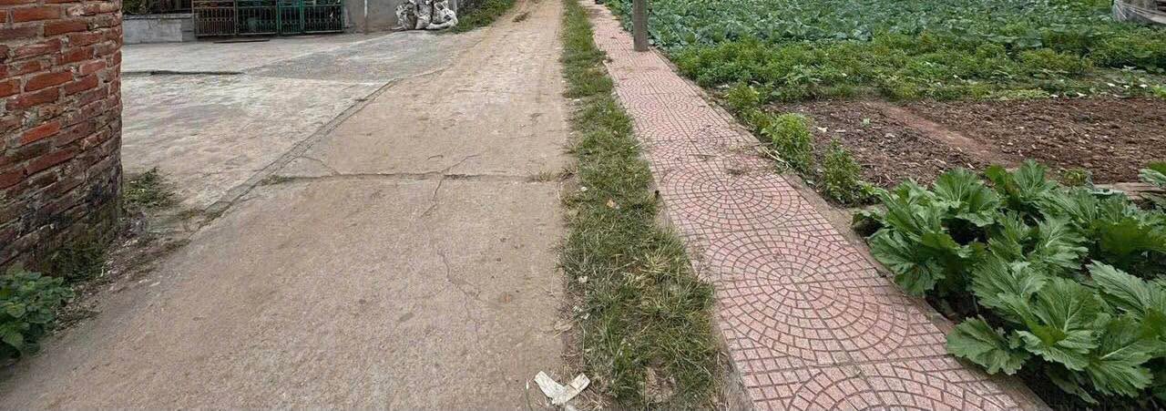 Đất nền Lương Bằng Kim Động 96m² giá 1.6 tỷ - Vị trí đắc địa, pháp lý rõ ràng!