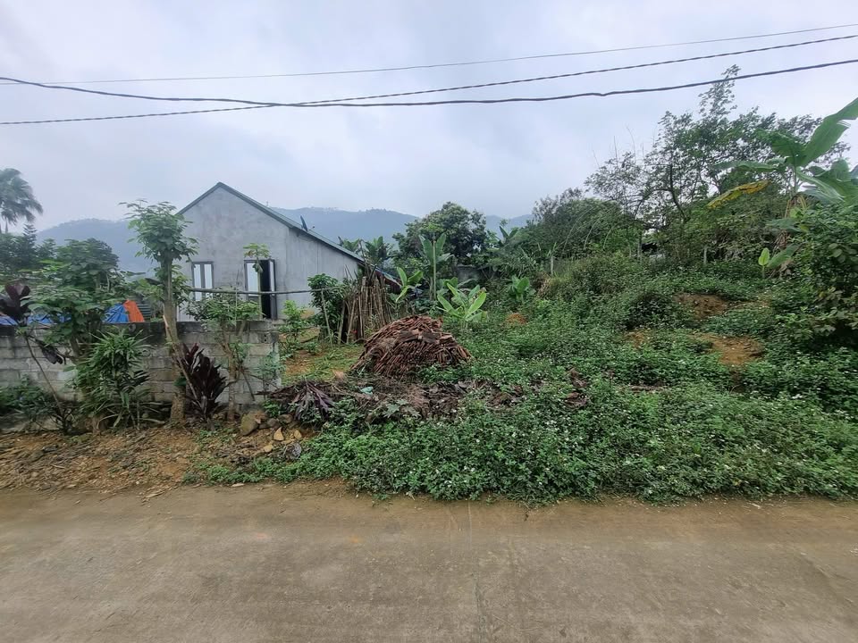 Đất nền Thục Luyện, Thanh Sơn 182.26m² giá 400 triệu - Cơ hội đầu tư hấp dẫn!