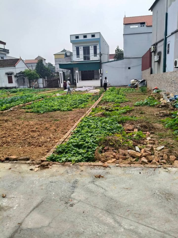 Đất nền Ninh Xá, Thuận Thành 60m² – Ô tô đỗ cửa – Giá tốt chỉ từ 1 tỷ!