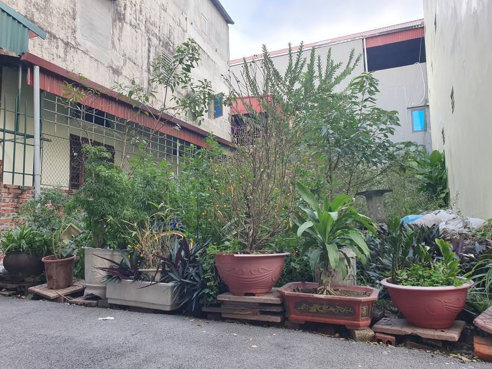 Đất thổ cư Phượng Mao, Quế Võ, Bắc Ninh 139m² - Đầu tư sinh lời ngay!