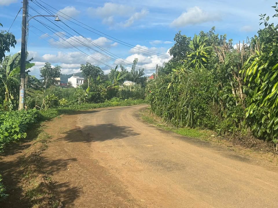 Đất nền xã Tân Thượng Di Linh 1864m² giá 950 triệu - Đầu tư sinh lời ngay!