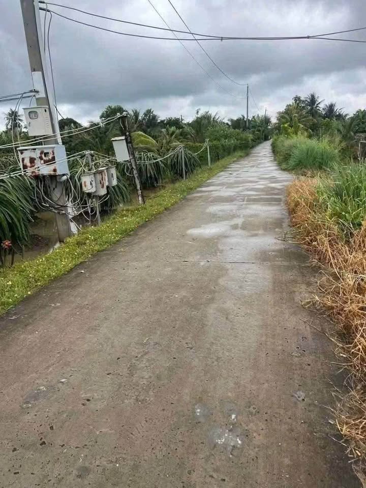 Đất Lúa 1.000m² Vĩnh Công, Châu Thành, Long An - Giá chỉ 1.25 tỷ!