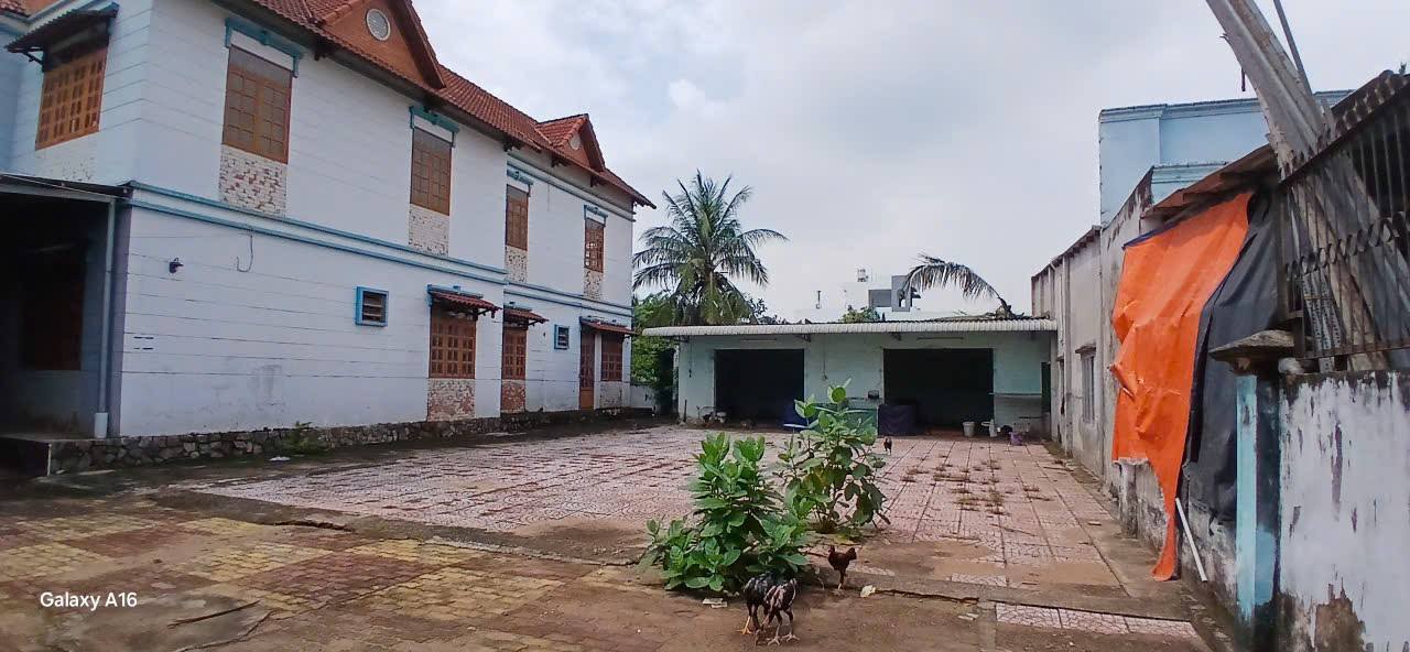 Biệt thự sân vườn 1.000m² đường 9, Thủ Đức giá 24 tỷ - Sổ hồng riêng chính chủ!