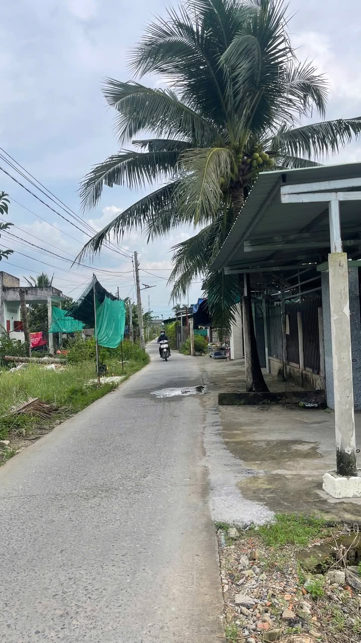 Đất thổ cư mặt tiền đường Đan ấp 1B, Bến Lức 200m² giá 1.4 tỷ - Cơ hội đầu tư tốt!