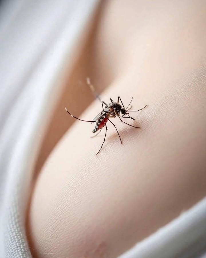 Mặt tiền FrontHouse Y Moan Buôn Ma Thuột 170m² giá 8.5 tỷ - Vị trí kinh doanh đắc địa!