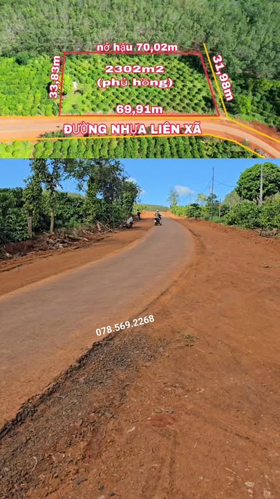 Đất nền lô góc 2 mặt tiền tại Ia Tôr, Chư Prông - Diện tích 23002m², giá chỉ 575 triệu!