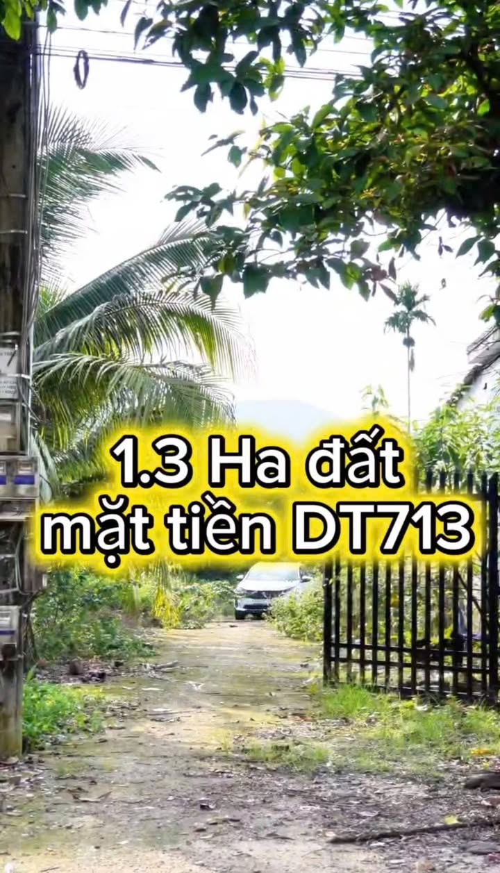 Farm Đà Huoai 1,3ha giá 8.9 tỷ - Địa điểm nghỉ dưỡng lý tưởng!