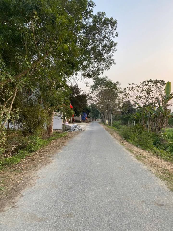 Đất ở Yên Lạc 144m² giá chỉ 500 triệu - Đầu tư sinh lời ngay!