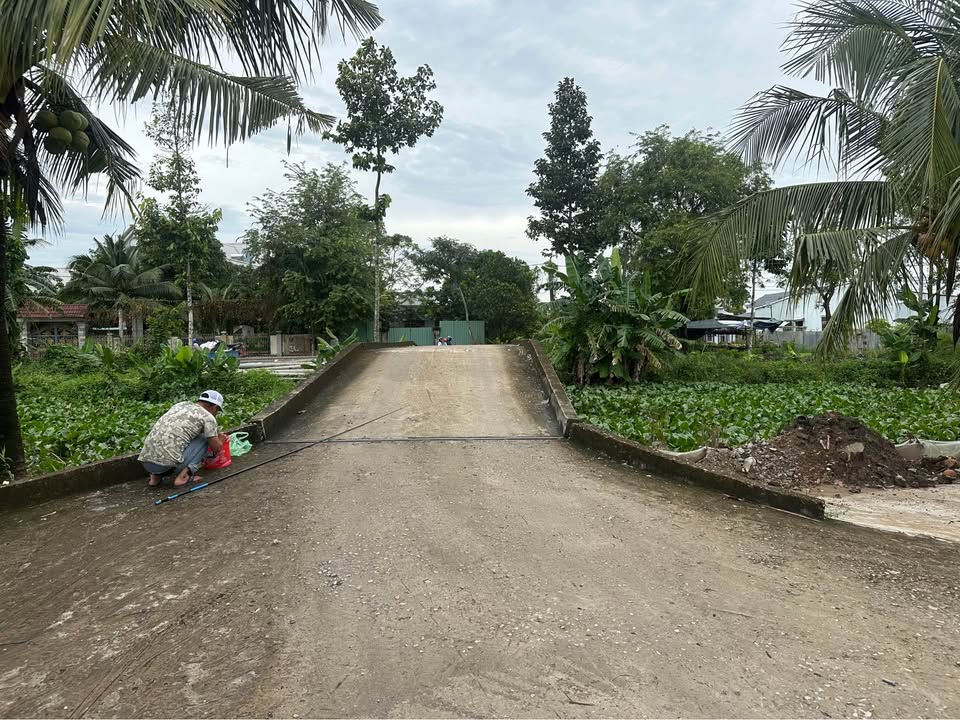 Nhà vườn 1000m² đường Huỳnh Tấn Phát - Cơ hội đầu tư hấp dẫn!