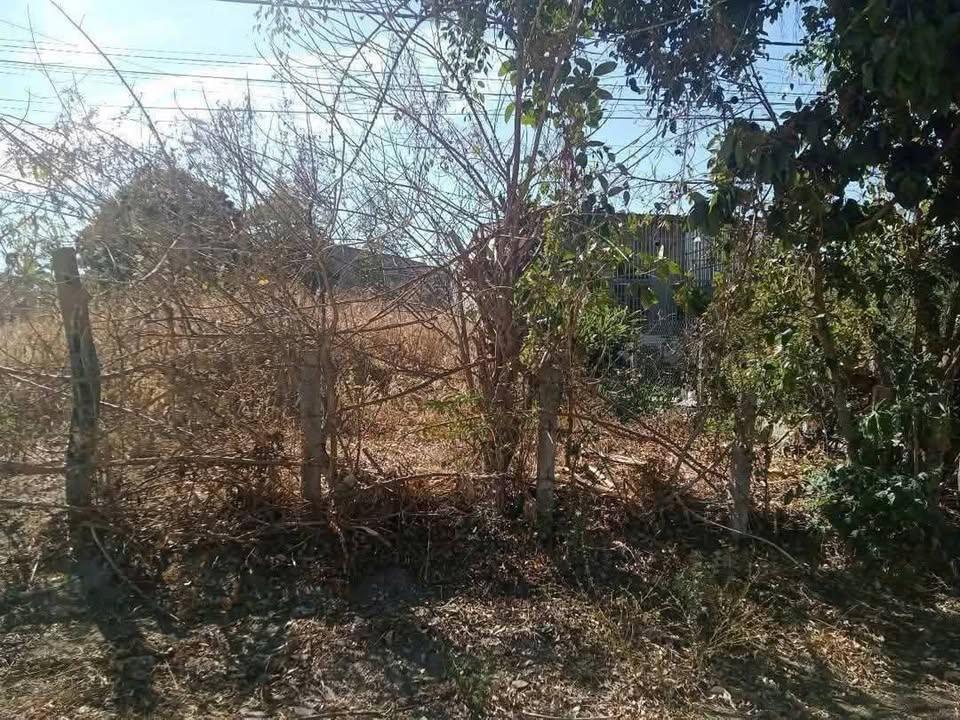 Đất thổ cư thôn 3 Đắk Cấm, Kon Tum 300m² giá 590 triệu - Cơ hội đầu tư tuyệt vời!