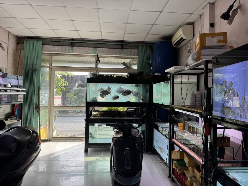 Nhà mặt tiền kinh doanh Đường Số, P Linh Xuân 82m² giá 5.35 tỷ - Cơ hội đầu tư hấp dẫn!