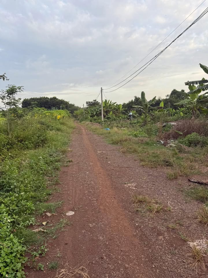 Đất nông nghiệp Suối Nho 7560m² giá 900 triệu - Bán gấp chính chủ!