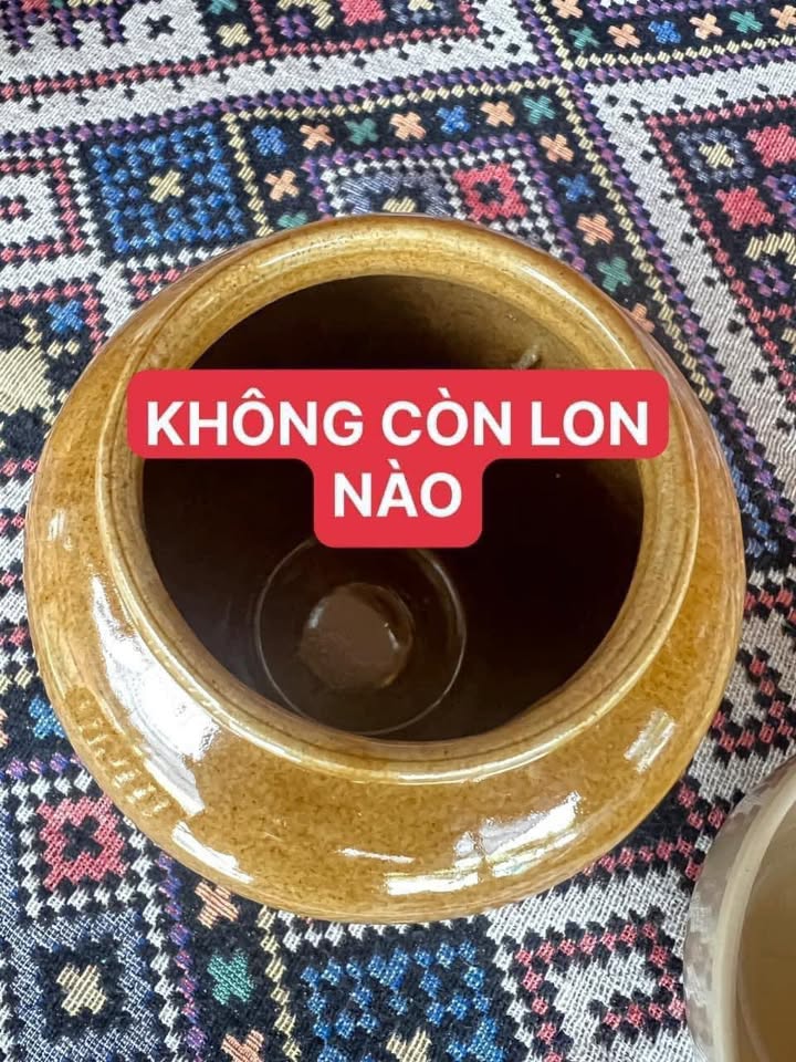 Đất thổ cư 478m² hẻm nhánh Phạm Thị Ban, Thới An Đông - Giá cực tốt chỉ 600 triệu!