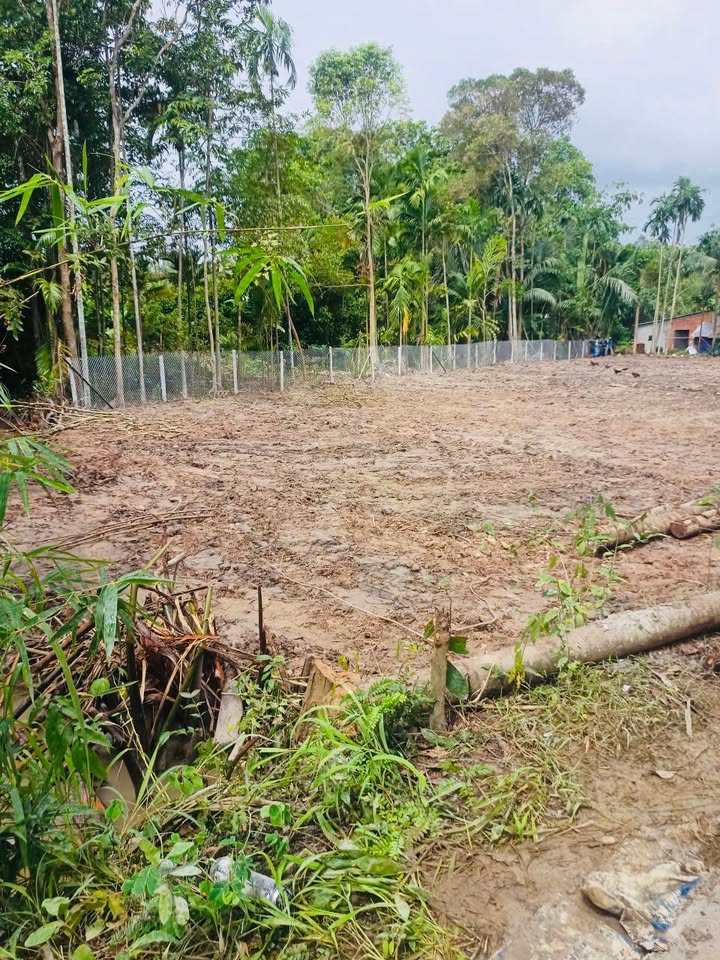 Đất nền Trà Côn Vĩnh Long 150m² chỉ 159 triệu - Đầu tư sinh lời ngay!