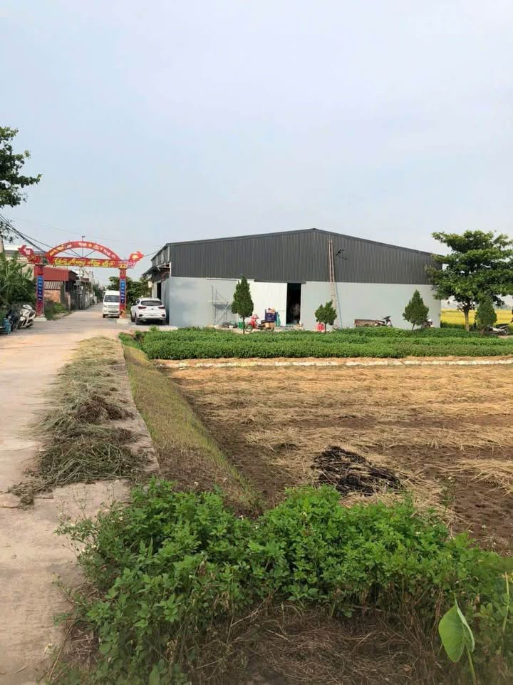 Đất nền biệt thự Phong Châu Đông Hưng 320m² giá 1 tỷ - Đầu tư sinh lời lý tưởng!