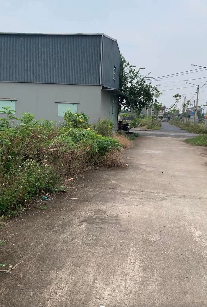 Đất nền mặt tiền 5m tại Vũ Lăng, Tiền Hải - 100m² chỉ 900 triệu