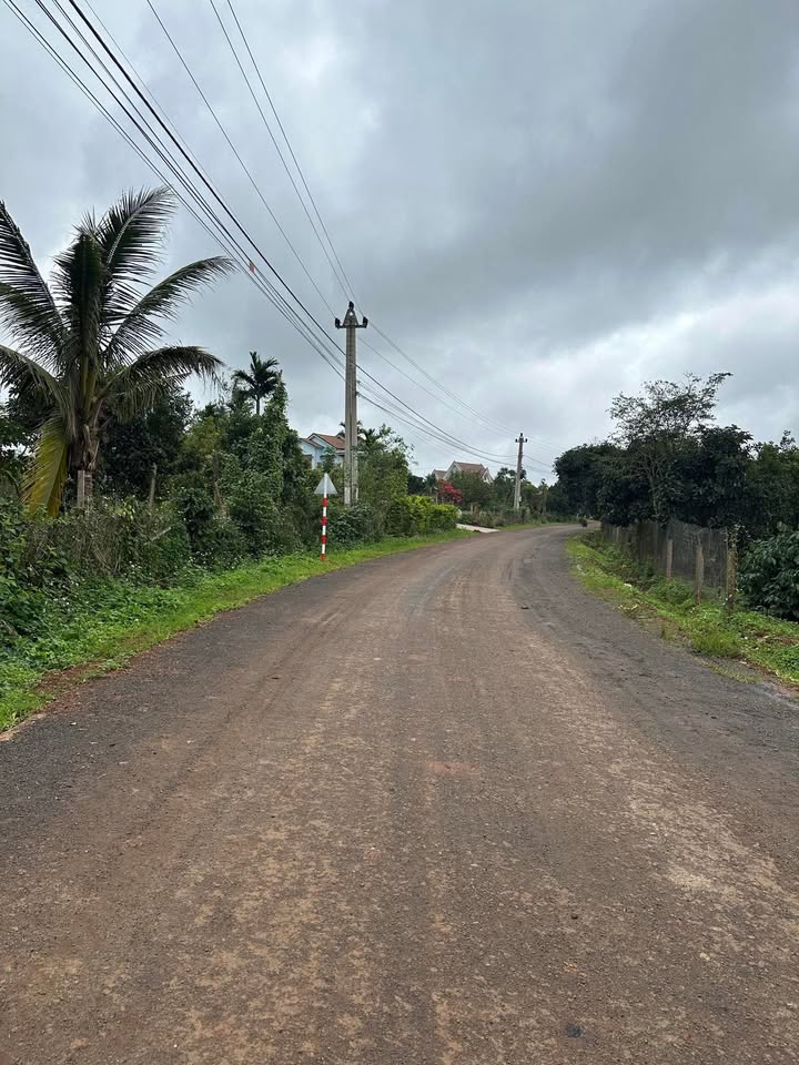 Đất thổ cư xã Ea Puk 120m² giá chỉ 62 triệu - Cơ hội đầu tư hấp dẫn!